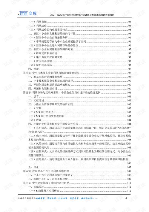 2021-2025年中國財(cái)稅信息化行業(yè)調(diào)研及利基市場(chǎng)戰(zhàn)略咨詢報(bào)告